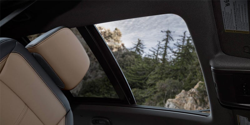 upward shot of a 2023 Chevrolet Equinox showing an opened panoramic sunroof look up at trees.